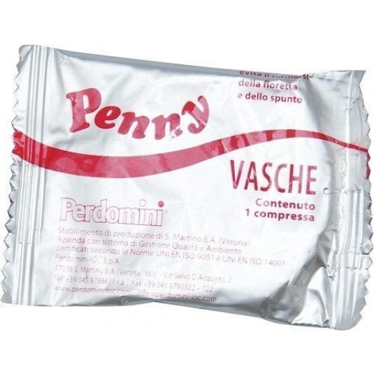 Pastilha Penny Vasche