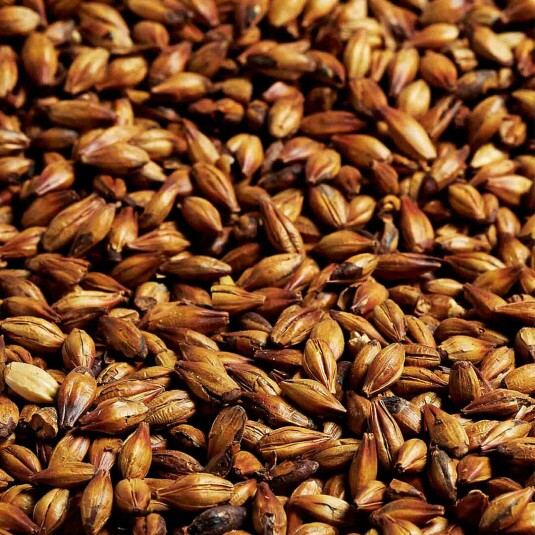 Malte Biscuit Dingemans - kg