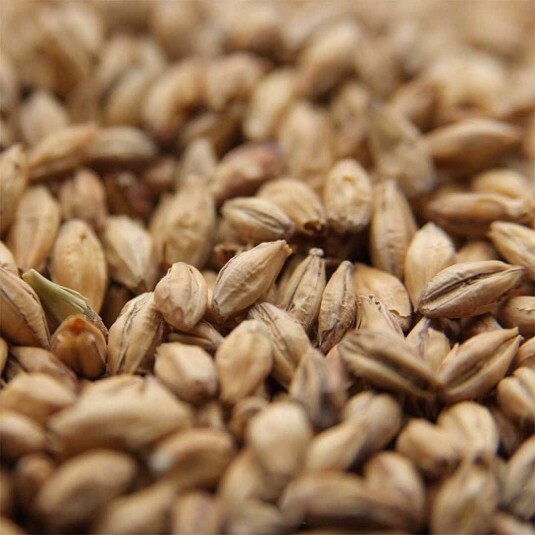 Malte Pilsen Weyermann – kg