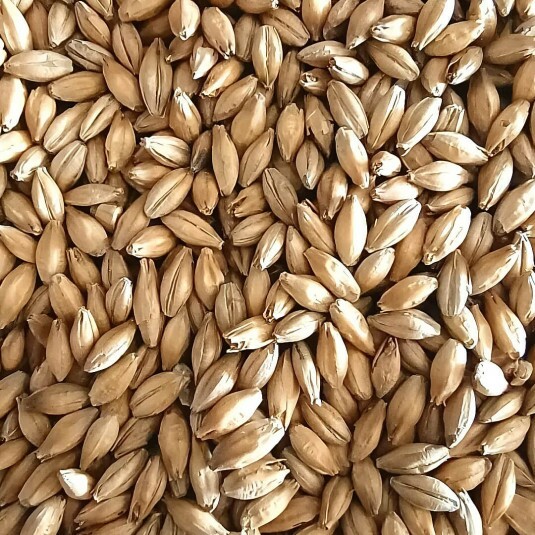 Malte Maris Otter Ale Crisp – kg