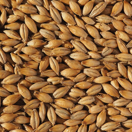 Malte Best Ale Crisp – kg