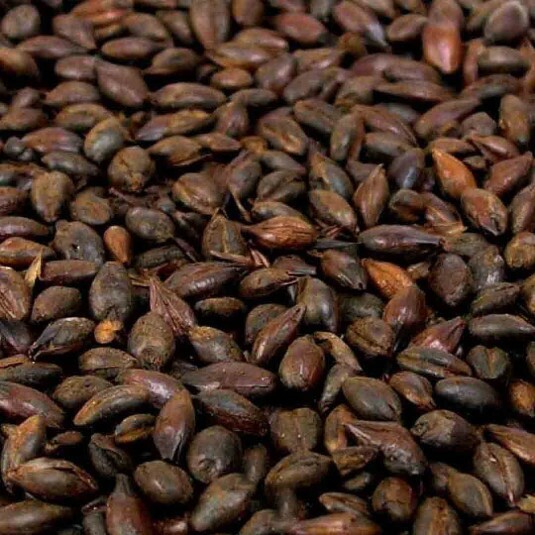 Malte Carafa I Weyermann - kg