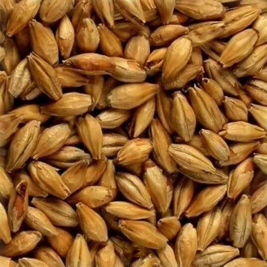 Malte Munich Agrária - kg