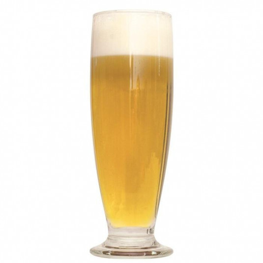 Kit Receita Cerveja Brut IPA - 20 Litros
