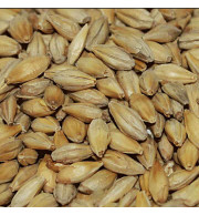 Malte Diastatic Castle Malting – kg