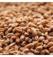 Malte Trigo Claro Weyermann – kg