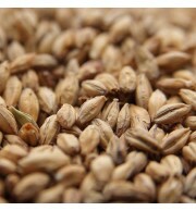 Malte Pilsen Weyermann – kg