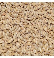 Malte Pale Ale Agrária – kg