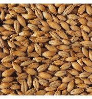 Malte Best Ale Crisp – kg