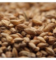 Malte Munich II Weyermann – kg