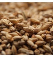 Malte Pale Ale Weyermann – kg