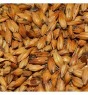 Malte Special W Weyermann – kg