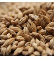 Malte Vienna Agrária – kg