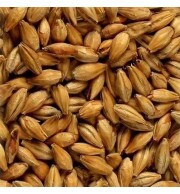 Malte Munich Agrária - kg