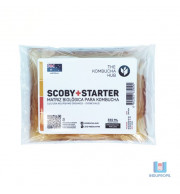 Scoby tipo Australiano Para Kombucha com Starter - 11cm