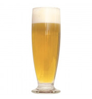 Kit Receita Cerveja Brut IPA - 20 Litros
