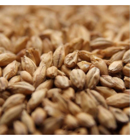 Malte Carapils Weyermann