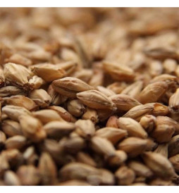 Malte Munich I Weyermann - kg