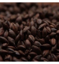 Malte Carafa III Weyermann - kg