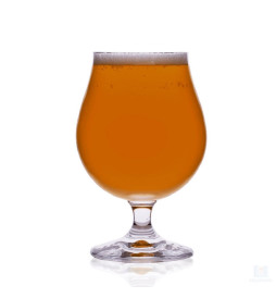 Kit Receita Cerveja Saison - 10 Litros
