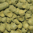 Lúpulo Cascade - Pct 10gr