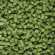 Lúpulo Hallertau Blanc Barth Haas - Pct 50gr