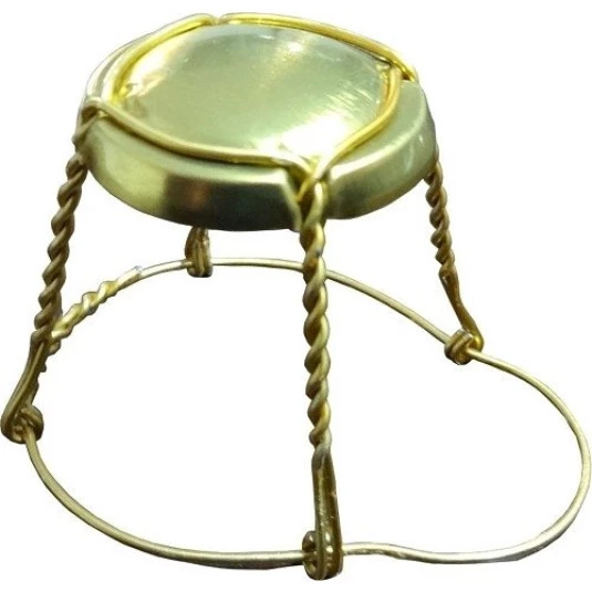 Gaiola Dourada Com Chapéu