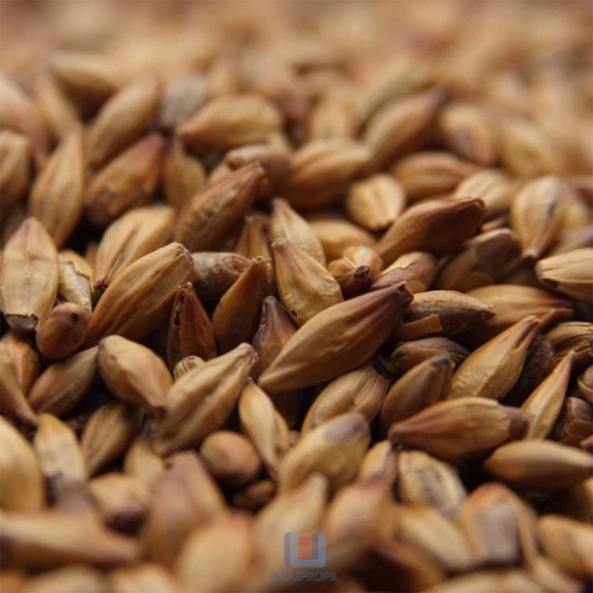 Grãos de Malte Caramunich I Weyermann