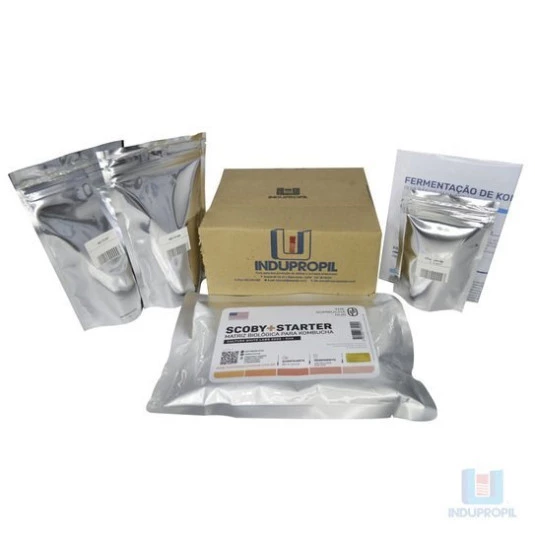 Kit Scoby Para Fazer Kombucha - 3lt - Tipo Americano 