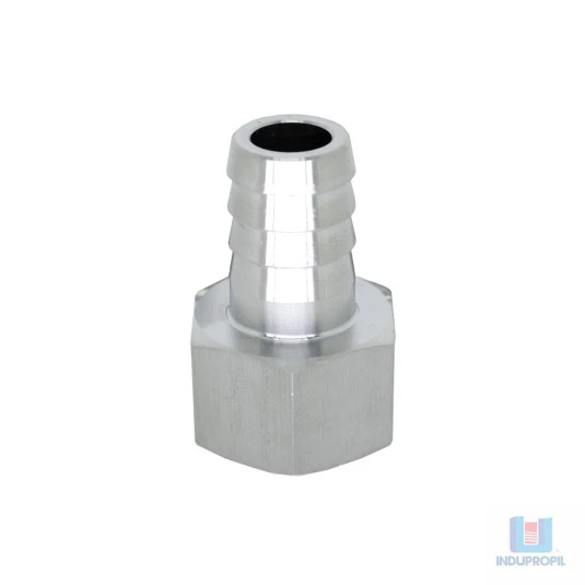 Espigão Inox 3/4" X 3/4" Fêmea NPT