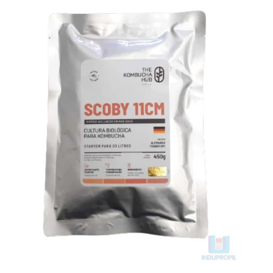 Scoby tipo Alemão Kombucha Hub com Starter - 11cm