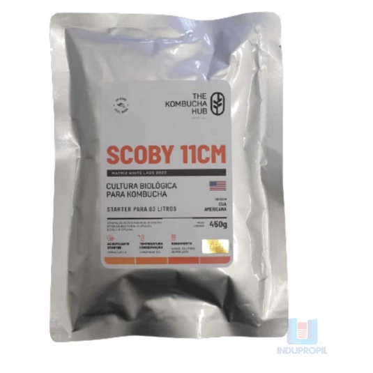 Scoby tipo Americano Kombucha Hub com Starter - 11cm