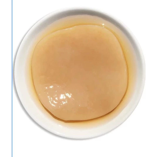Scoby Tipo Australiano Para Kombucha