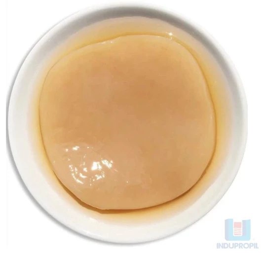 Scoby Tipo Canadense Para Kombucha
