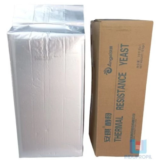 Levedura Para Destilados Angel Yeast Thermal Resistance - 10Kg