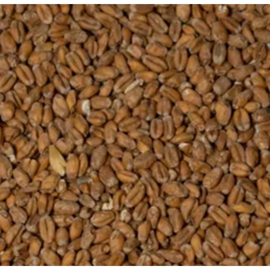 Malte de Trigo Agrária