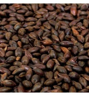 Grãos de Malte Carafa I Weyermann