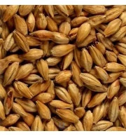Grãos de Malte Munique Agraria