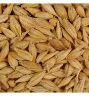 Grãos de Malte Pilsen Agrária