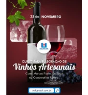 Curso para Elaboração de Vinhos Artesanais - 23/11/2024