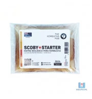 Scoby tipo Australiano Para Kombucha com Starter - 11cm