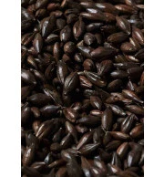 Malte Coffee - Kg