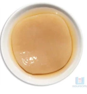 Scoby Tipo Americano Para Kombucha – 7cm
