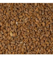 Malte de Trigo Agrária