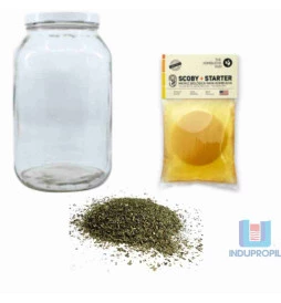 Kit Básico Kombucha até 3 Lts