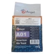 Fermento Angel Yeast A01 Ale - 500g 