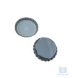 Tampa Champagne 29mm Inox PVC