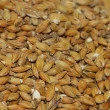 Malte Acidificado Weyermann PH 3,4 a 3,6 - Kg