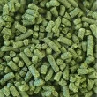 Lúpulo Columbus Barth-Haas - Pct 50gr