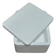 Caixa Isopor 1 Kg 